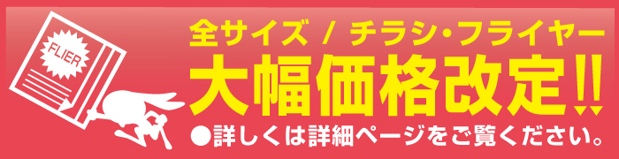���饷���ե饤�䡼 �������ʲ��ꡪ��